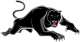 Panthers