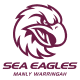 Sea Eagles